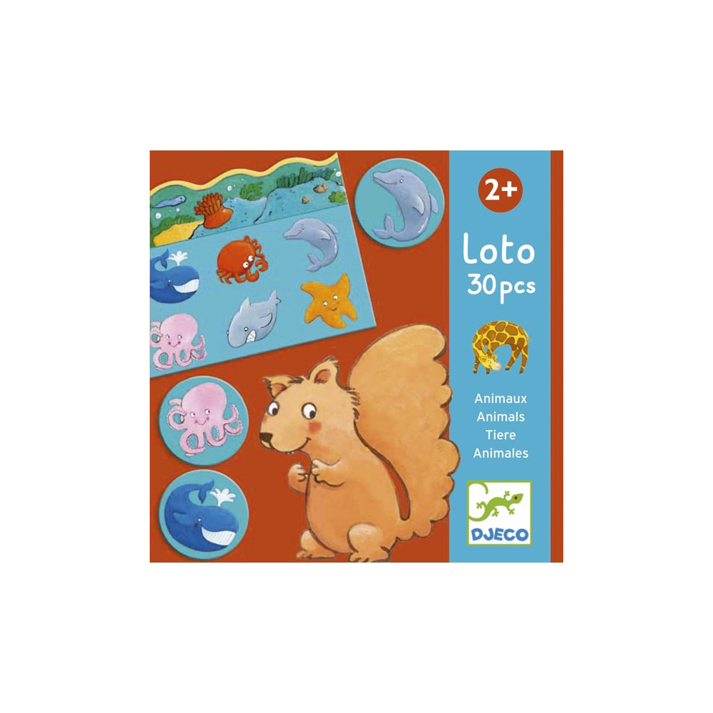 Djeco Képes lottó - Állatok élőhelye - Animals Djeco Képes lottó - Állatok élőhelye - Animals