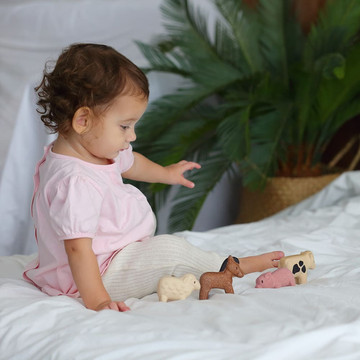 Plantoys készségfejlesztő játék 1 éves kortól