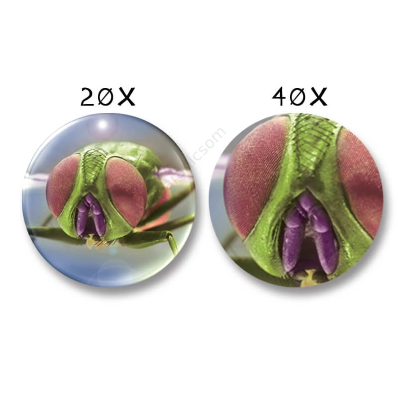 navir hordozhato mikroszkop piros