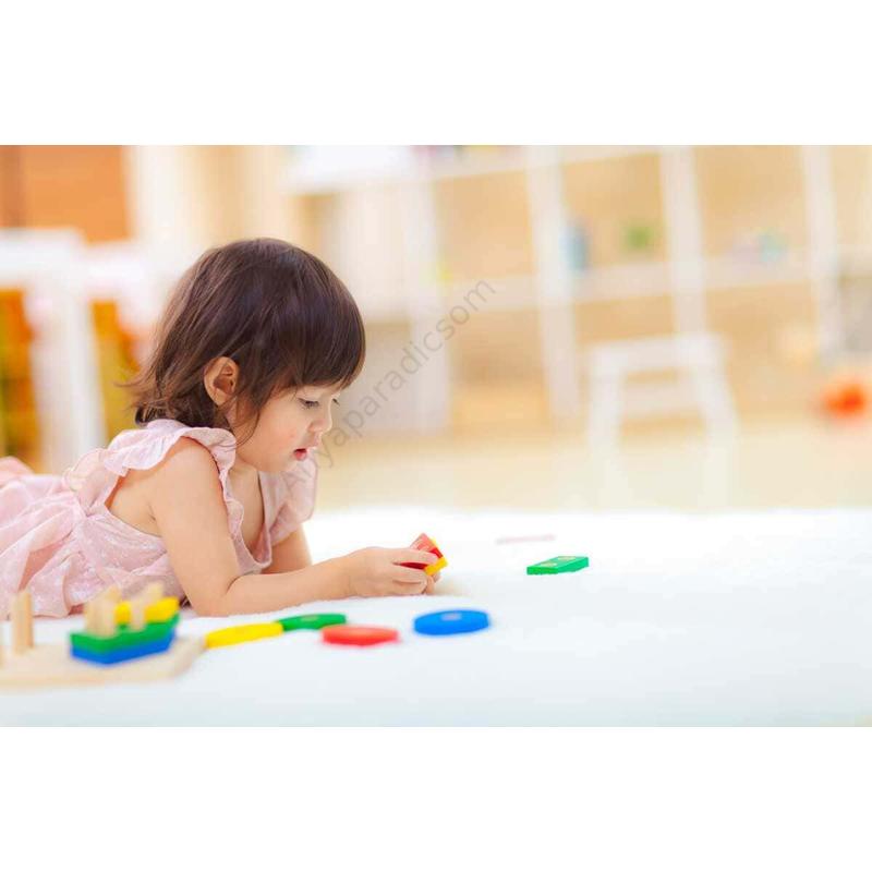 plantoys formavalogato tabla